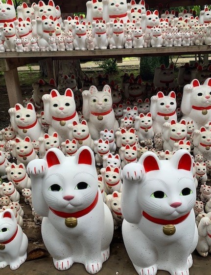 Lucky Cats